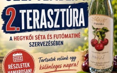 (Magyar) II. Terasztúra