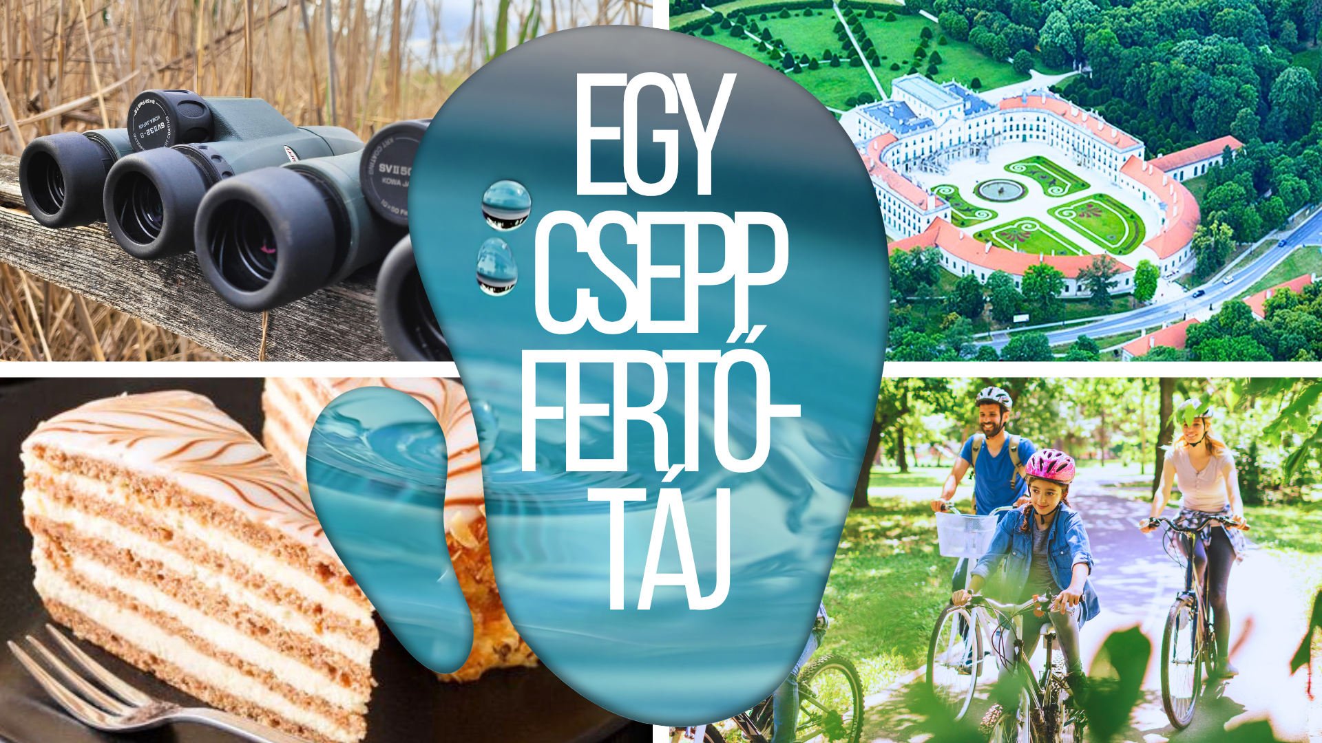 Egy Csepp Fertő-táj: Családi biciklitúra Eszterházára